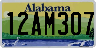 AL license plate 12AM307