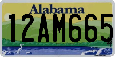 AL license plate 12AM665