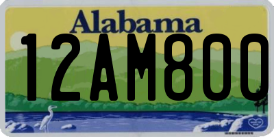 AL license plate 12AM800