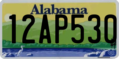AL license plate 12AP530