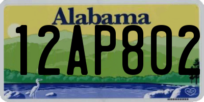 AL license plate 12AP802