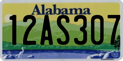 AL license plate 12AS307