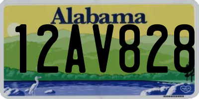 AL license plate 12AV828