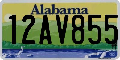 AL license plate 12AV855
