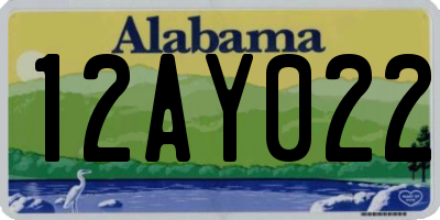 AL license plate 12AY022