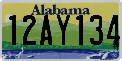 AL license plate 12AY134