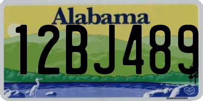 AL license plate 12BJ489