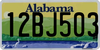 AL license plate 12BJ503
