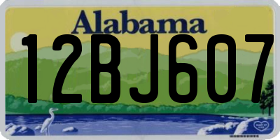AL license plate 12BJ607