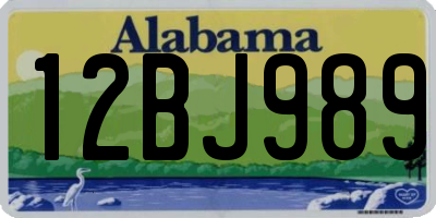 AL license plate 12BJ989