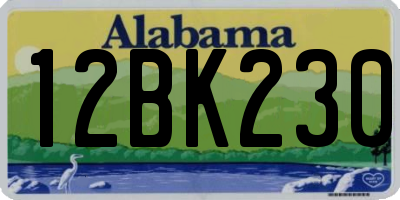 AL license plate 12BK230