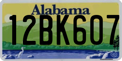 AL license plate 12BK607