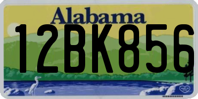 AL license plate 12BK856