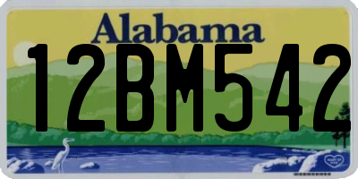 AL license plate 12BM542