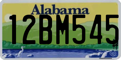 AL license plate 12BM545