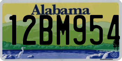AL license plate 12BM954
