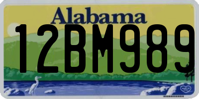 AL license plate 12BM989