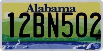 AL license plate 12BN502