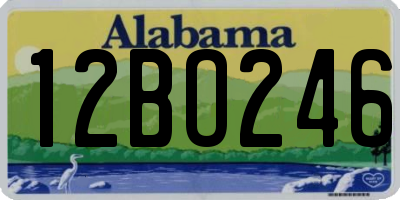 AL license plate 12BO246