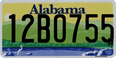 AL license plate 12BO755