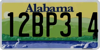 AL license plate 12BP314
