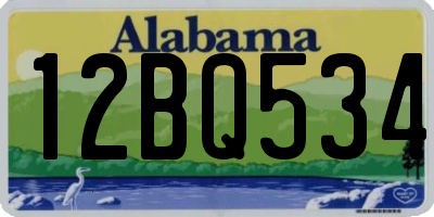 AL license plate 12BQ534