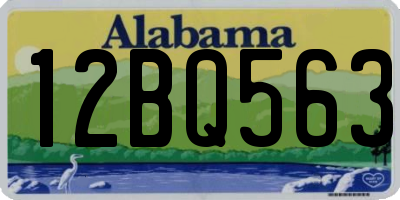 AL license plate 12BQ563