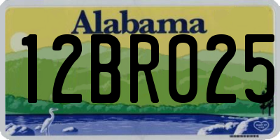AL license plate 12BR025