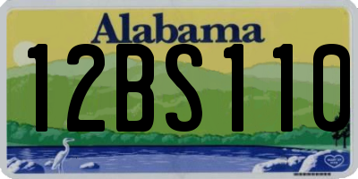 AL license plate 12BS110