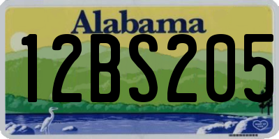 AL license plate 12BS205