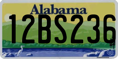 AL license plate 12BS236