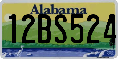 AL license plate 12BS524