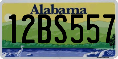 AL license plate 12BS557