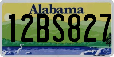 AL license plate 12BS827