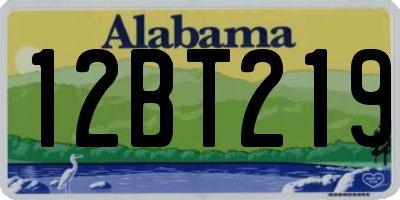 AL license plate 12BT219
