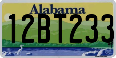 AL license plate 12BT233
