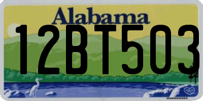 AL license plate 12BT503