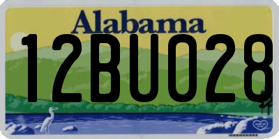 AL license plate 12BU028