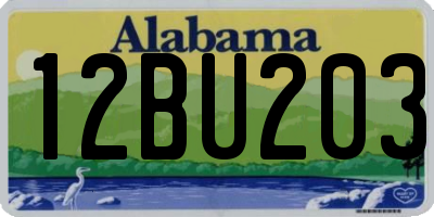AL license plate 12BU203