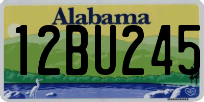 AL license plate 12BU245