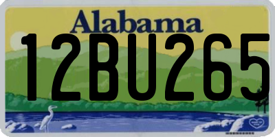 AL license plate 12BU265