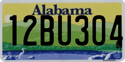 AL license plate 12BU304