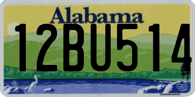 AL license plate 12BU514