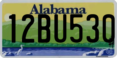 AL license plate 12BU530