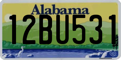 AL license plate 12BU531