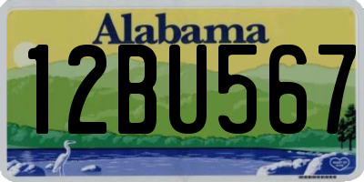 AL license plate 12BU567
