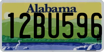 AL license plate 12BU596