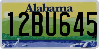 AL license plate 12BU645