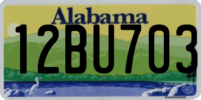 AL license plate 12BU703