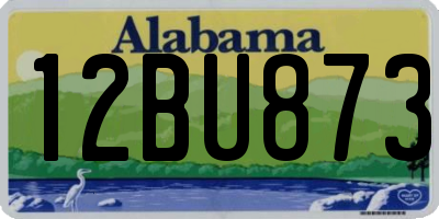 AL license plate 12BU873